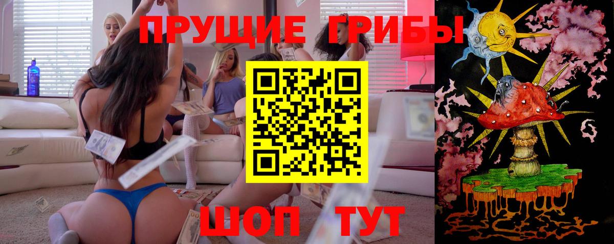 Псилоцибиновые грибы GOLDEN TEACHER Конаково